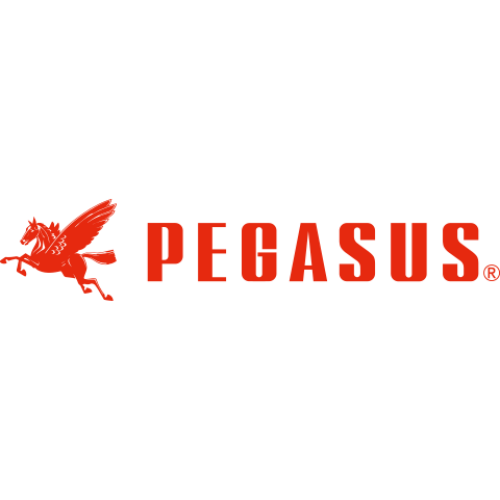 Pegasus